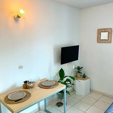 Charming With Swimming Pool Apartment Nice